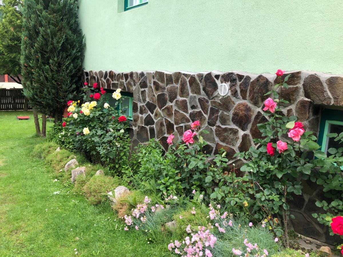 Pensiunea Panorama BaileTusnad Exterior foto